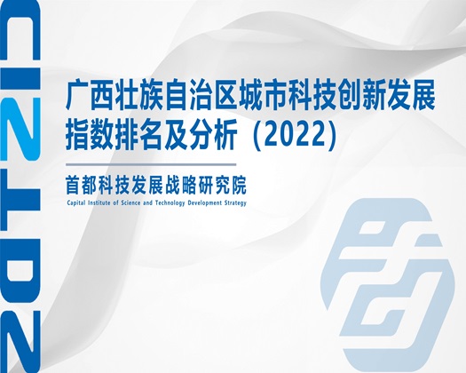 穴紧鸡巴好长好舒服视频【成果发布】广西壮族自治区城市科技创新发展指数排名及分析（2022）